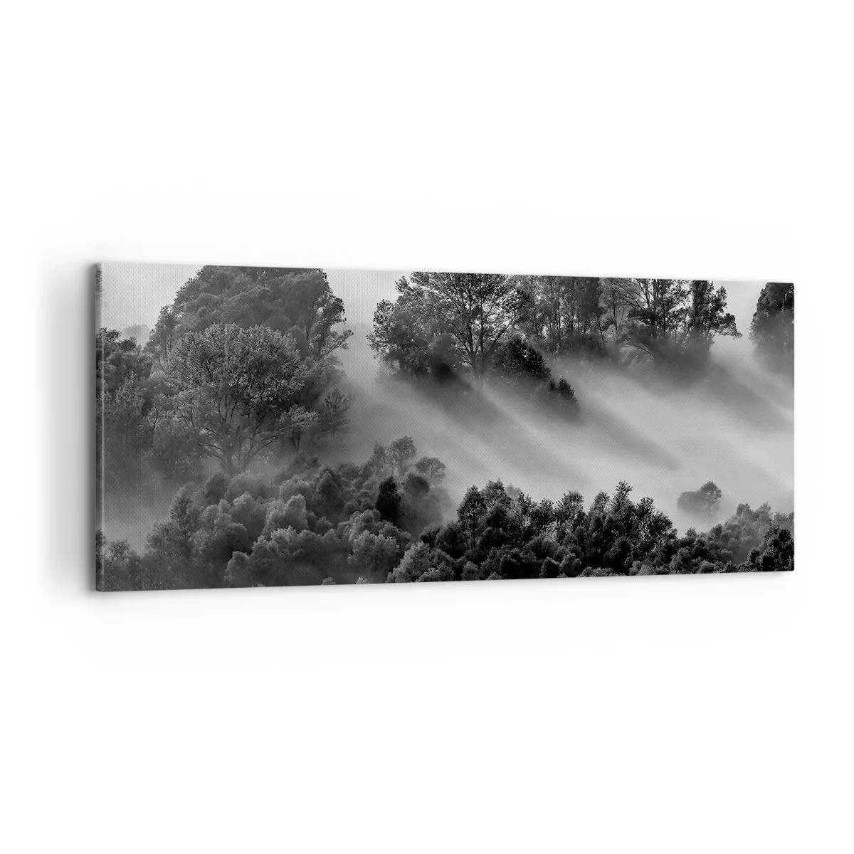 Obraz na plátne - Prebúdzanie zo spánku - 100x40 cm