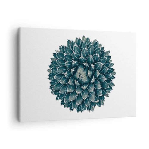 Obraz na plátne - Symetrická sukulentná rastlina na bielom pozadí - 70x50cm - Hviezda púšte - Moderná nástenná dekorácia do obývacej izby a spálne ARTTOR