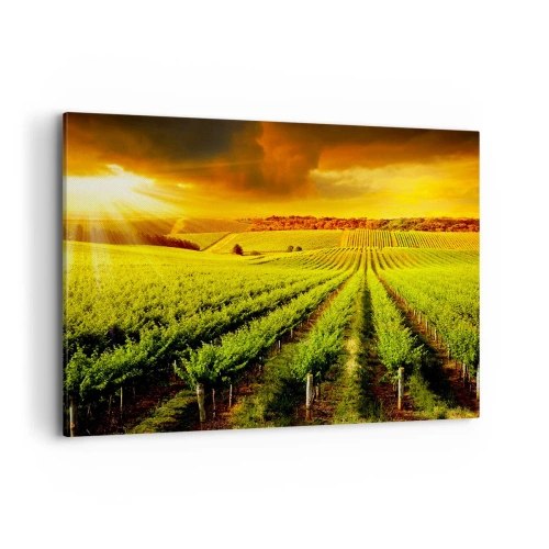 Obraz na plátne - Pod austrálskym slnkom - 120x80 cm