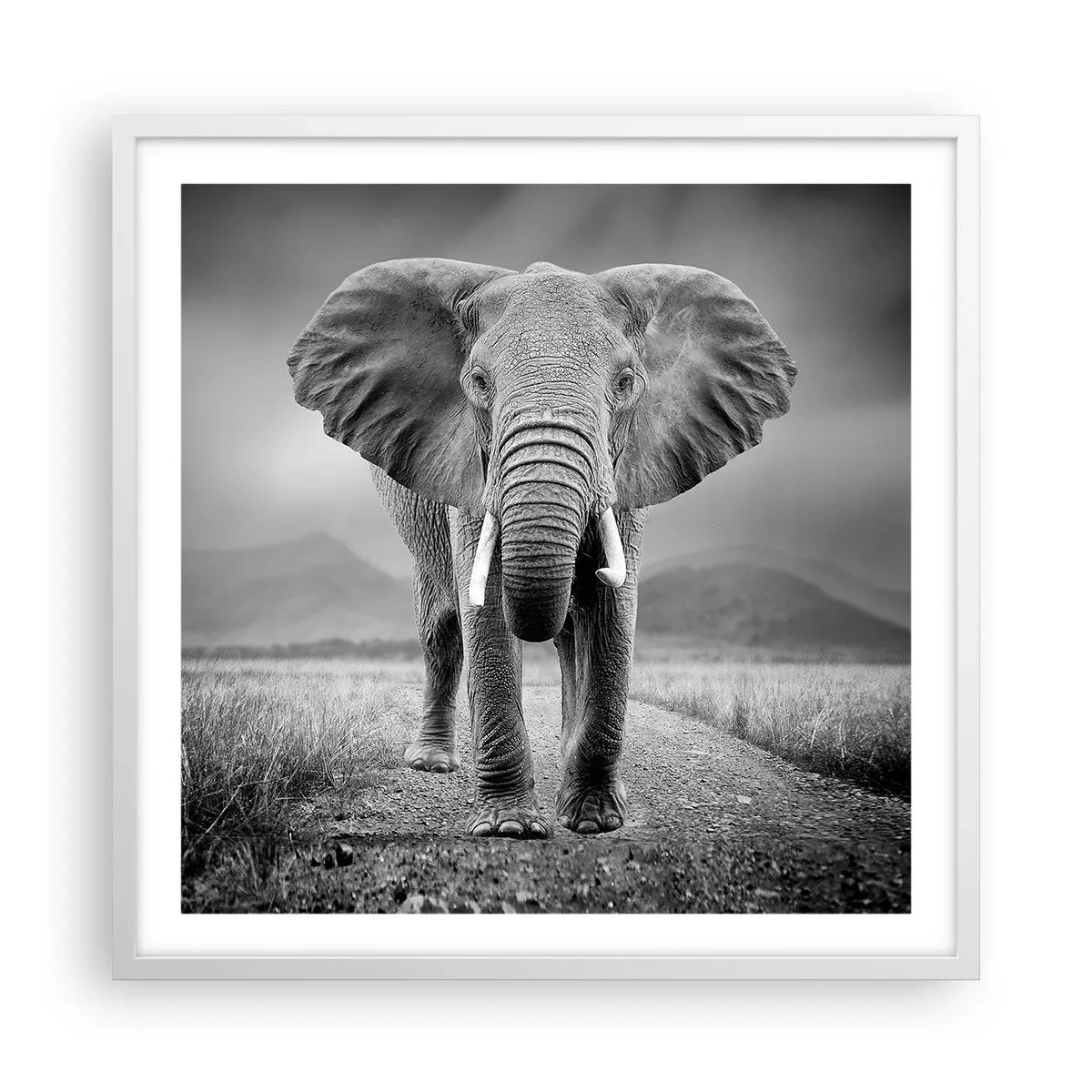 Plagát v bielom ráme - Hostiteľ víta - 60x60 cm