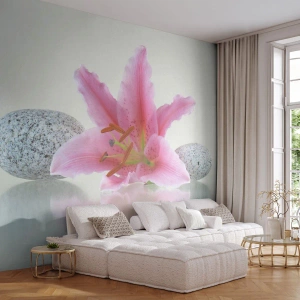 Fototapeta Standard Eco - Štúdia v ružovej, šedej a bielej - Kvety, Lily, Kamene - 350x256 cm