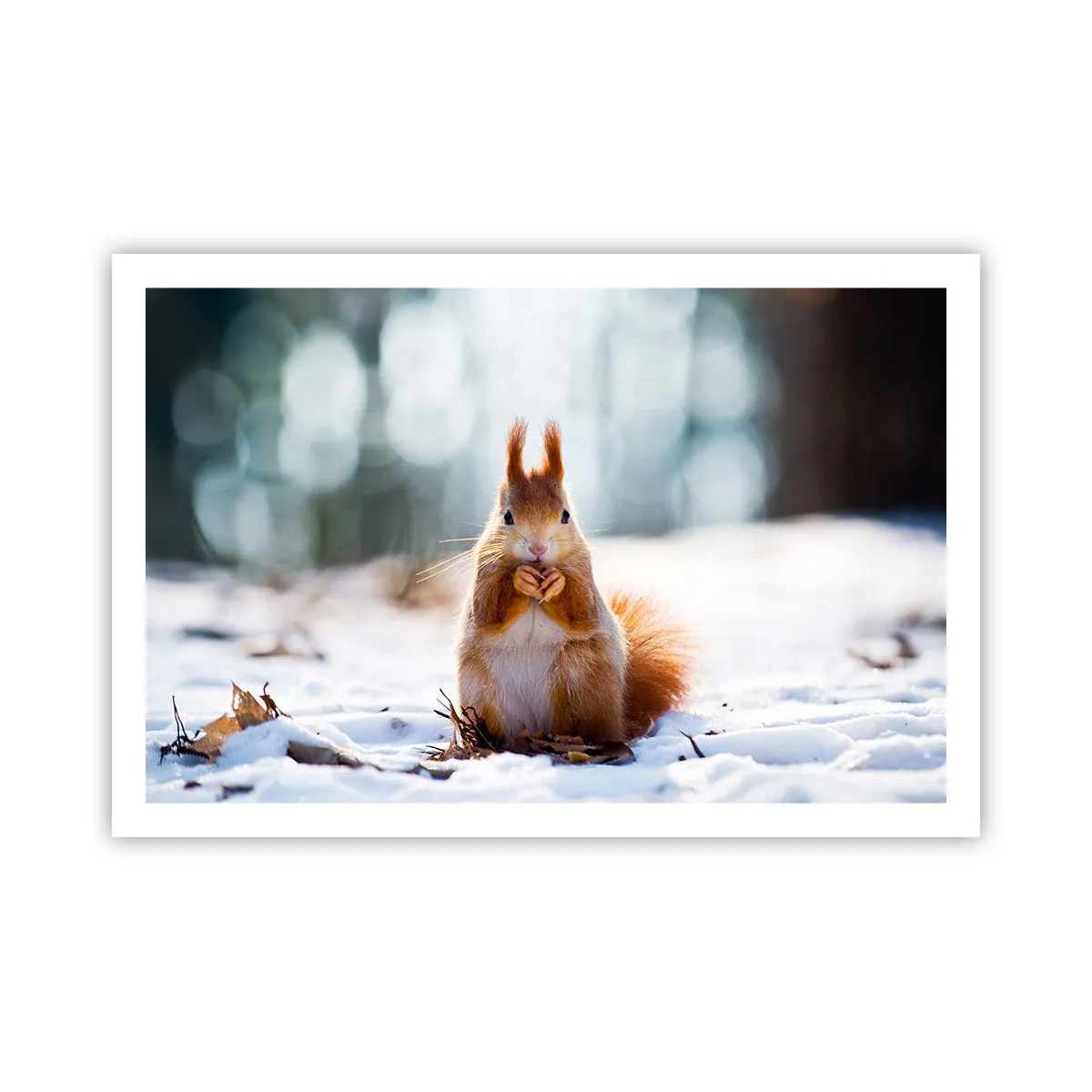 Plagát - Čo sa tak pozeráš? - 91x61 cm