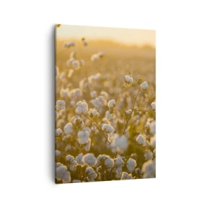 Obraz na plátne - Chlpaté pole - 50x70 cm