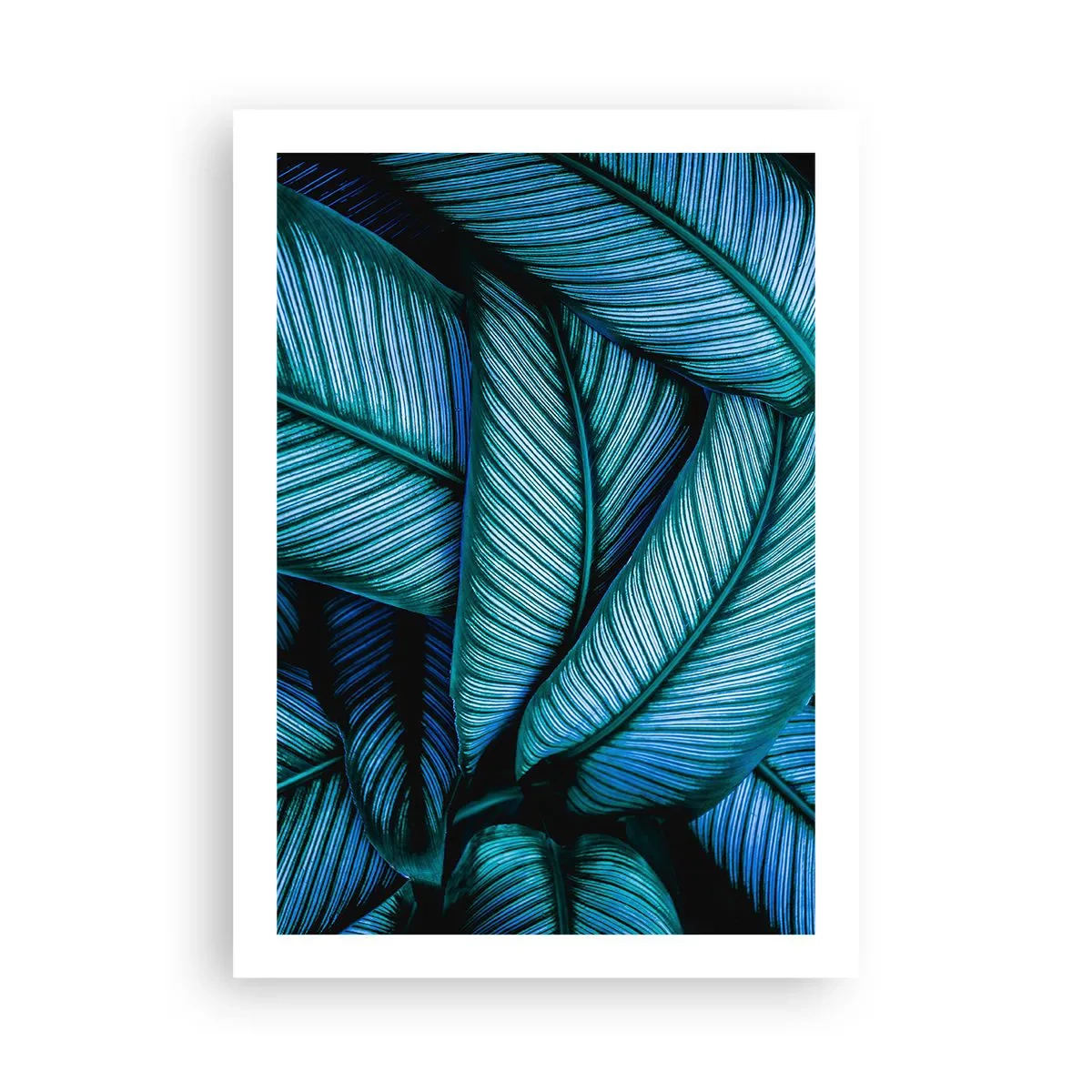 Plagát - Čiary života - 50x70 cm