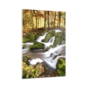Obraz na skle - Chvatom jesenným lesom - 50x70 cm