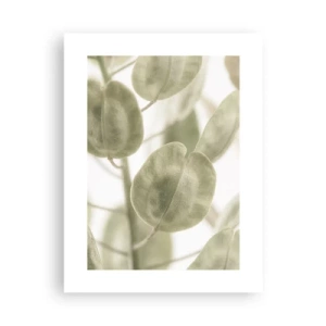 Plagát - Na začiatku bolo lístie… - 30x40 cm