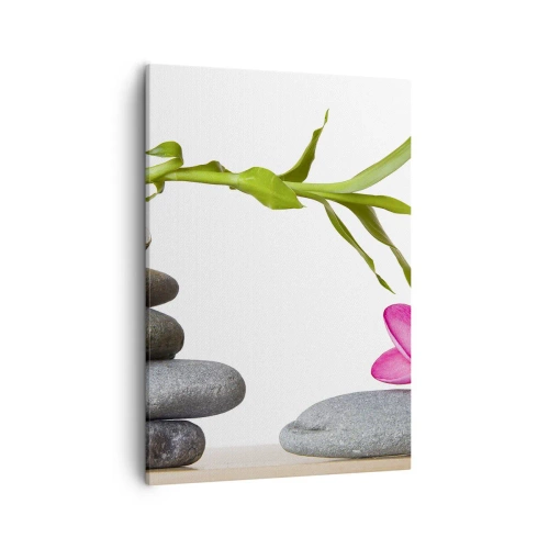 Obraz na plátne - Farby života a trvania - 50x70 cm