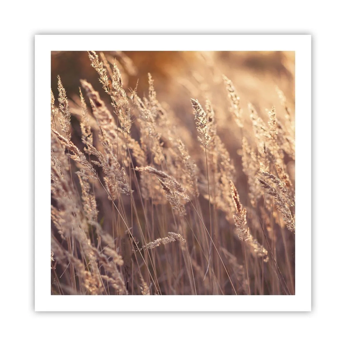 Plagát - Pripravení privítať jeseň - 60x60 cm