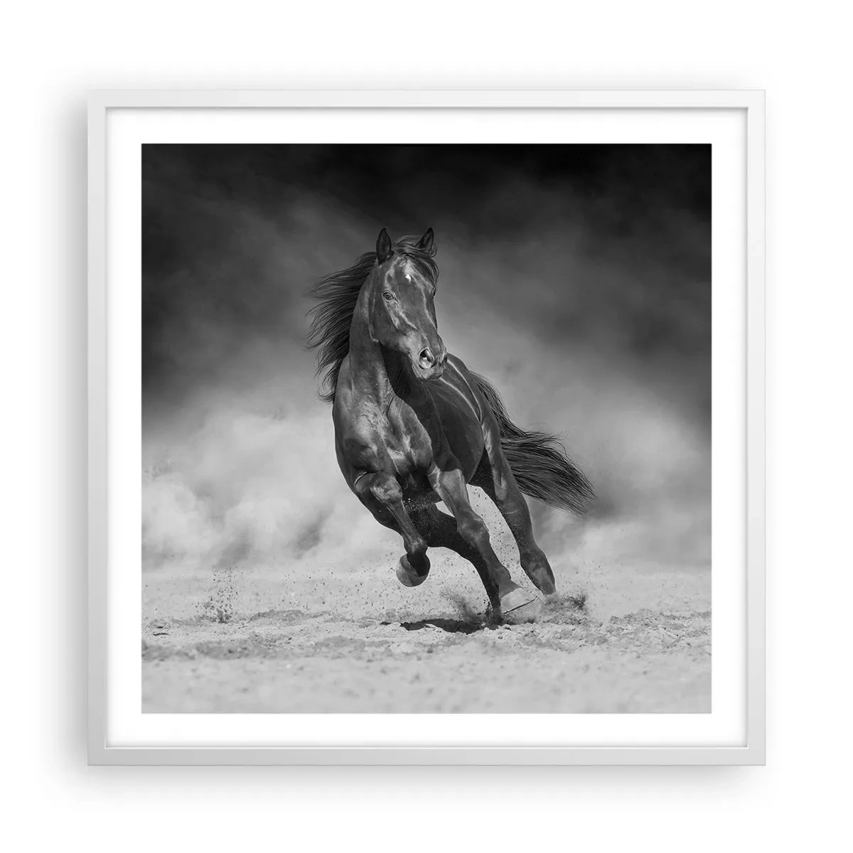 Plagát v bielom ráme - Hodné samotného emira - 60x60 cm