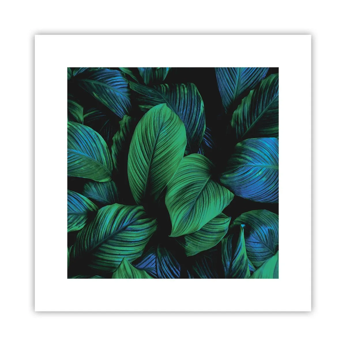 Plagát - V zelenom dave - 30x30 cm