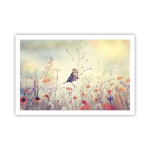 Plagát - Portrét vtáka s lúkou v pozadí - 91x61 cm