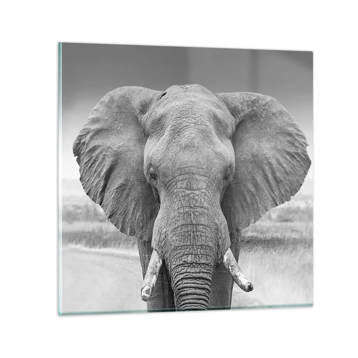 Obraz na skle - Vitajte v mojom svete - 40x40 cm