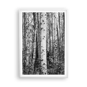 Plagát v bielom ráme - Brezová kolonáda - 70x100 cm