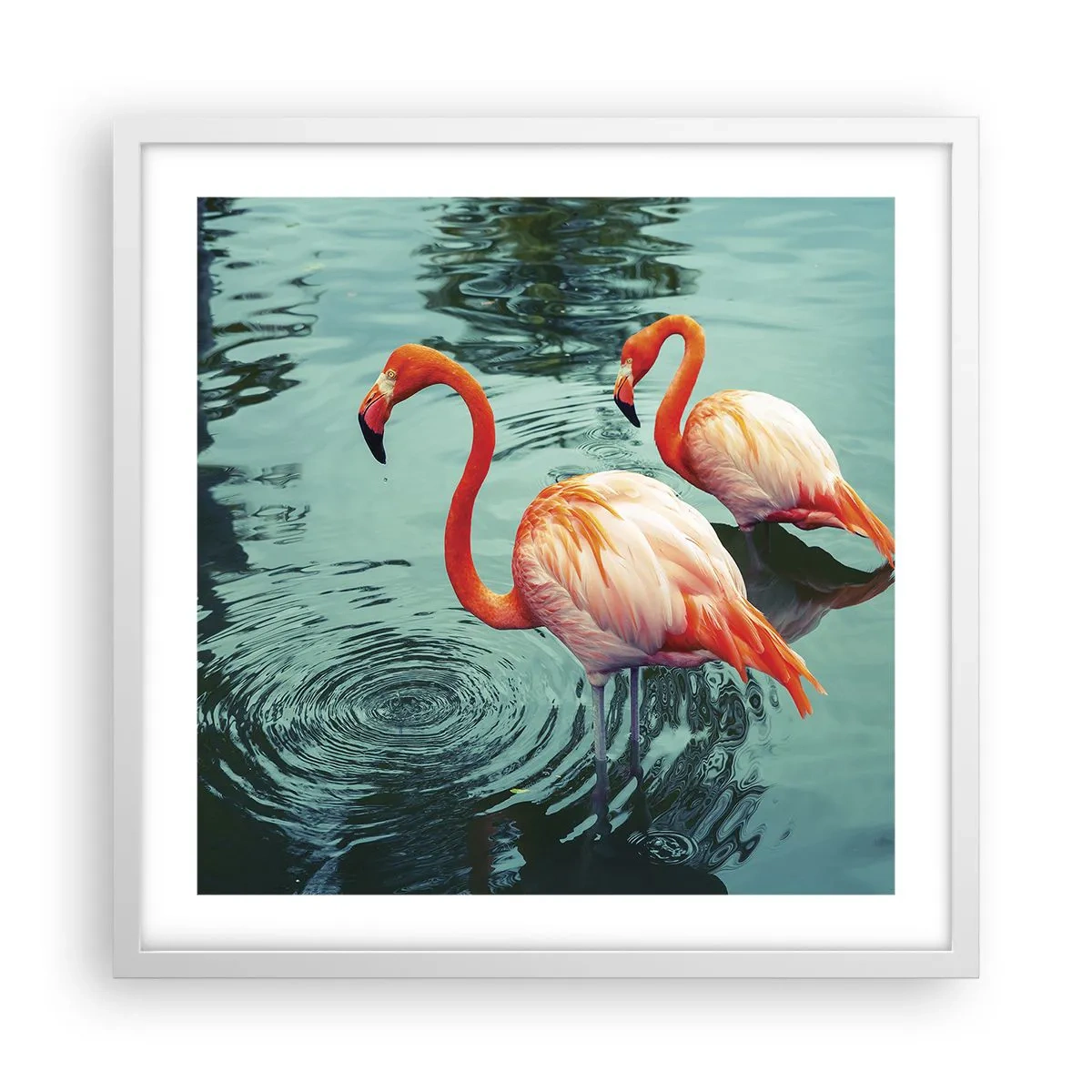 Plagát v bielom ráme - Teraz sme v móde - 50x50 cm