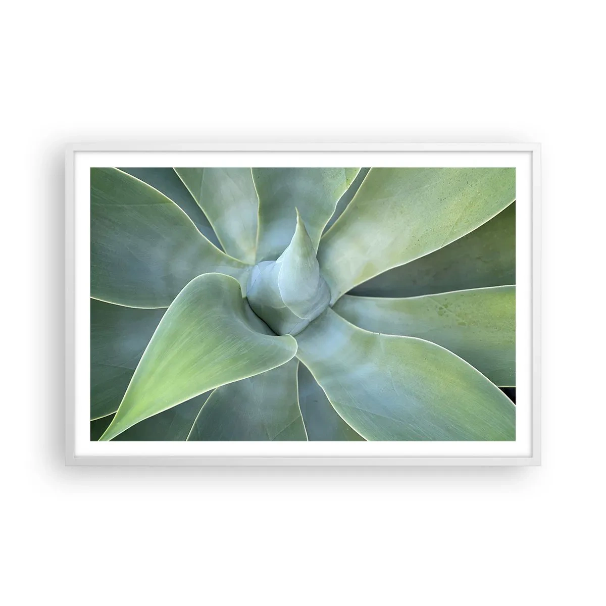 Plagát v bielom ráme - Zrodenie zelene - 91x61 cm