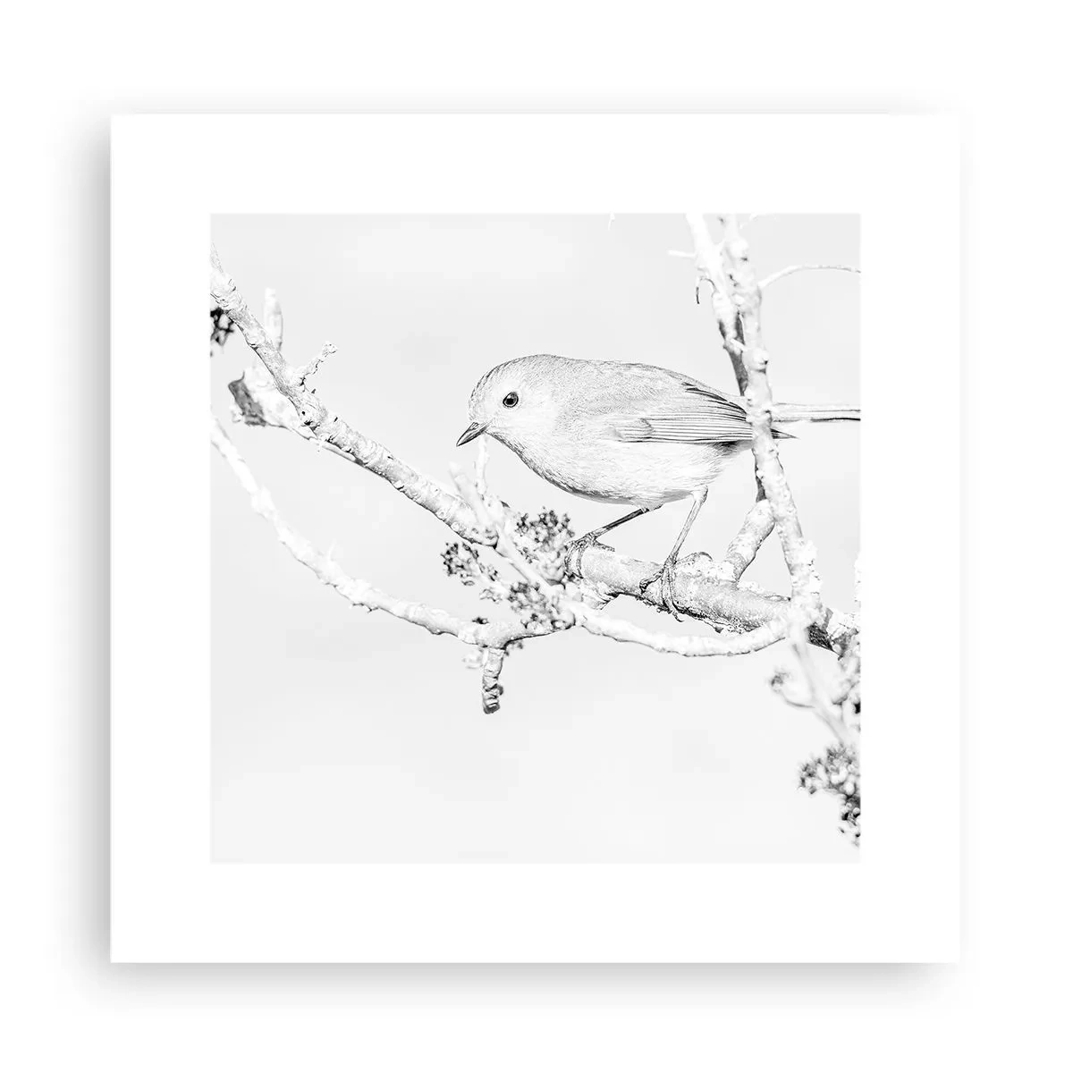 Plagát - Zimné ráno - 30x30 cm