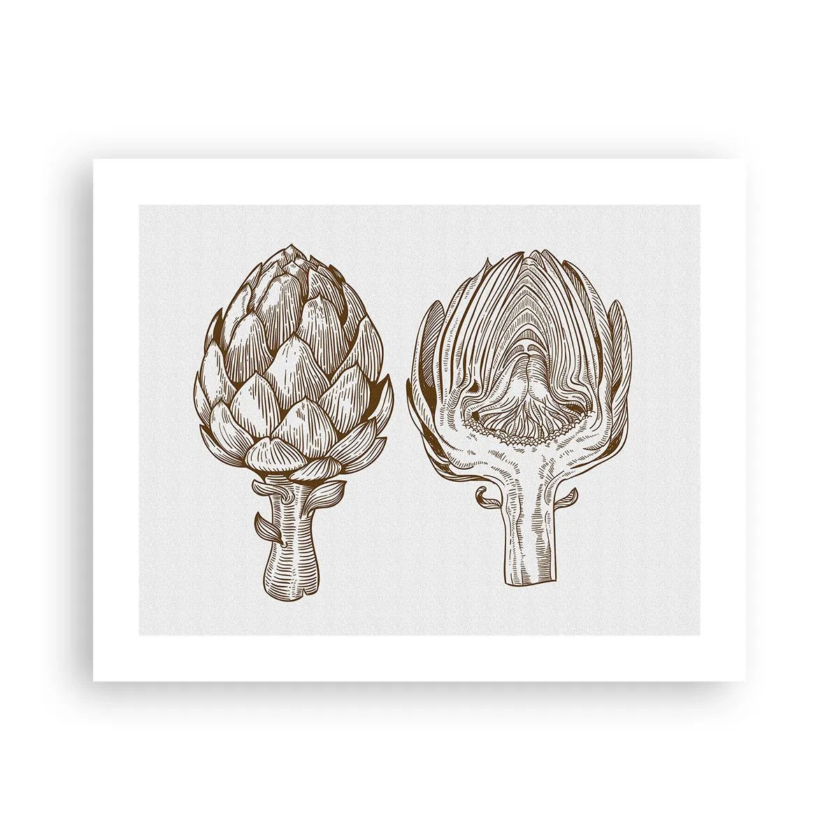 Plagát - Hodiny anatómie - 50x40 cm