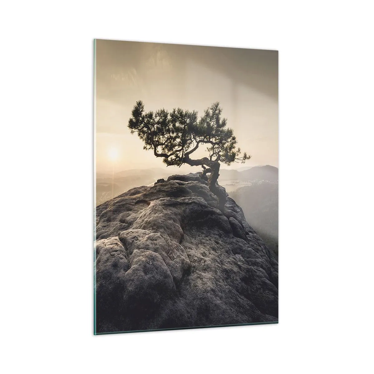 Obraz na skle - Život vždy víťazí - 50x70 cm