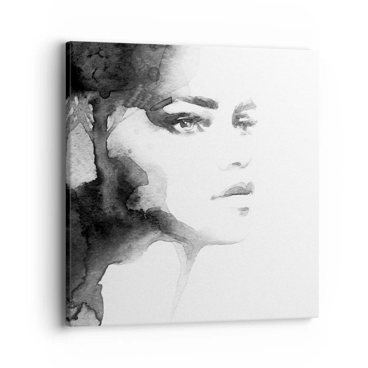 Obraz na plátne - Vytvorená z tajomstva a hmly - 40x40 cm