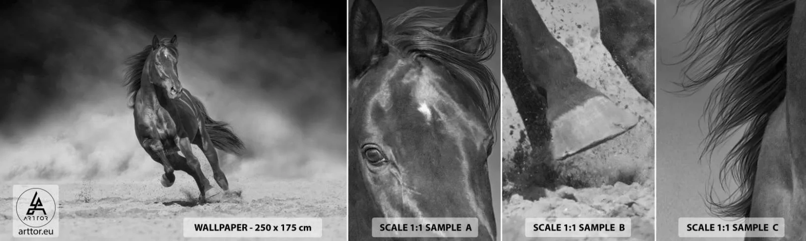 Vzorka samolepiacej fototapety Deluxe Sticker - Hodné samotného emira - Kôň, Zvieratá, Príroda - 100x30 cm