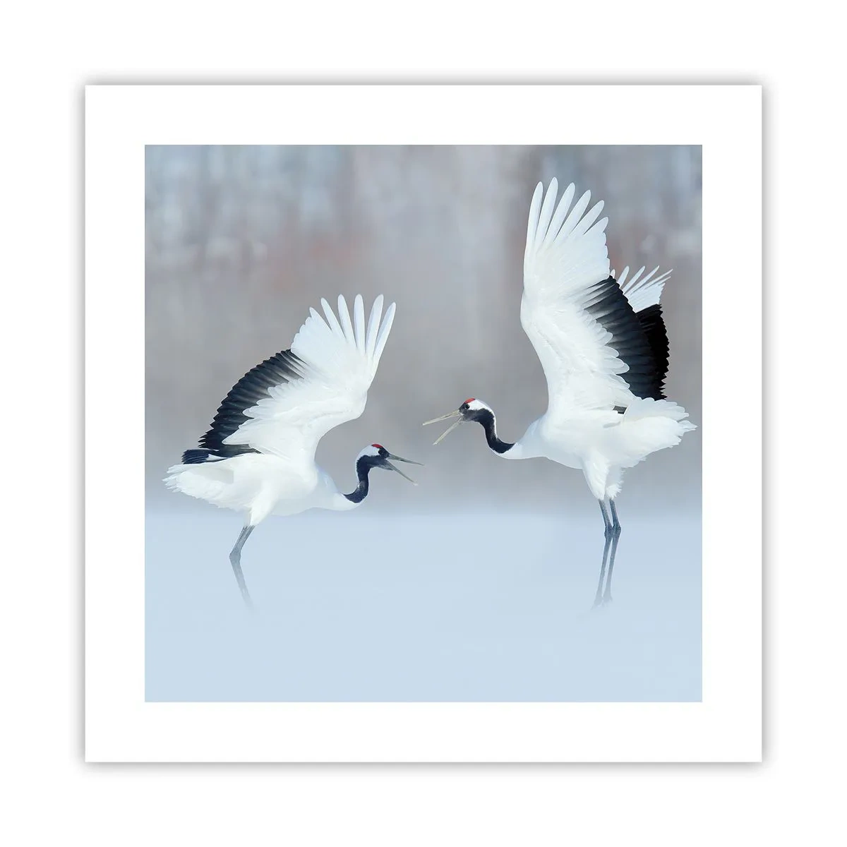 Plagát - Tanec v hmle - 40x40 cm