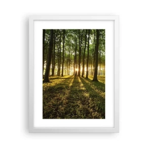 Plagát v bielom ráme - Fotografie všetkých jarí - 30x40 cm