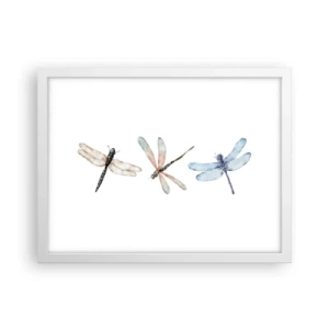 Plagát v bielom ráme - Beztiažové vážky - 40x30 cm