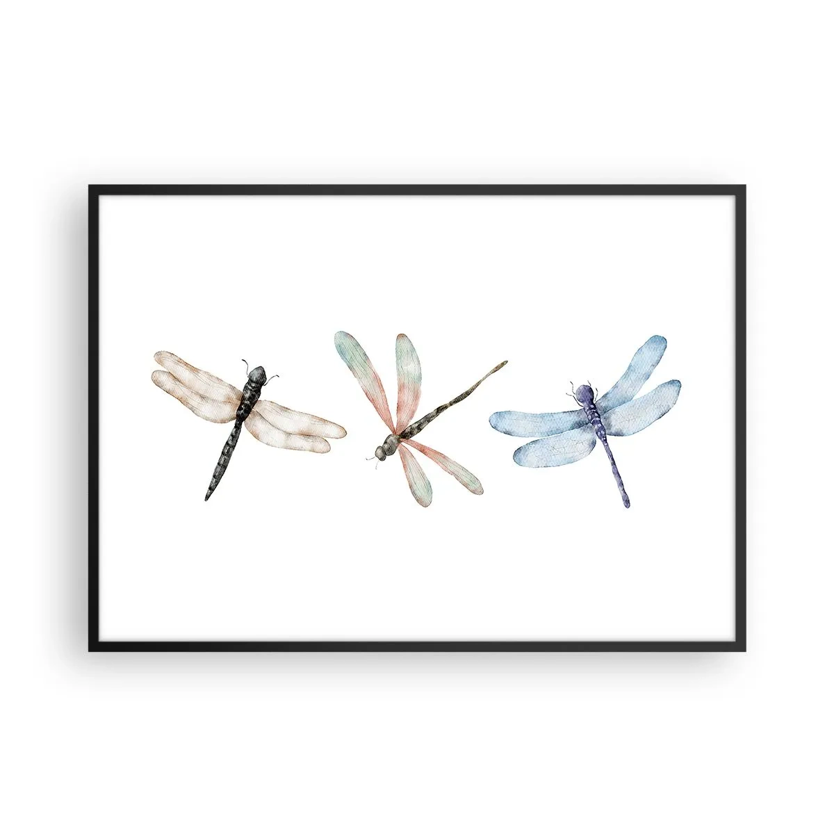 Plagát v čiernom ráme - Beztiažové vážky - 100x70 cm