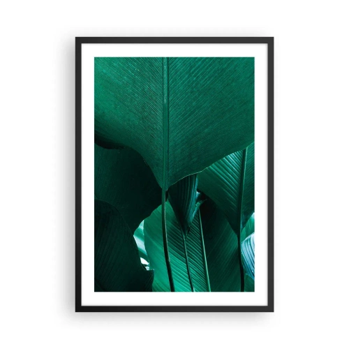 Plagát v čiernom ráme - Detailný záber na veľké zelené listy s vyznačenou štruktúrou a textúrou. - 50x70cm - Obrátené k svetlu - Moderná nástenná dekorácia do obývacej izby a spálne ARTTOR