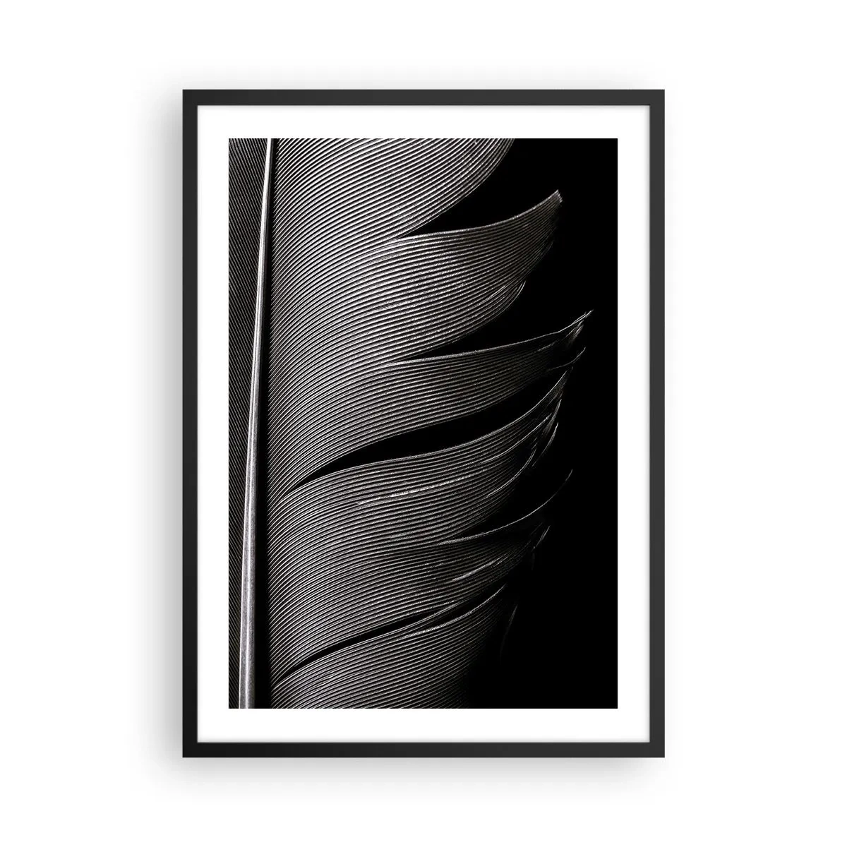 Plagát v čiernom ráme - Minimalistický pohľad na pierko v čiernej a bielej farbe - 50x70cm - Perie – nádherná konštrukcia - Moderná nástenná dekorácia do obývacej izby a spálne ARTTOR