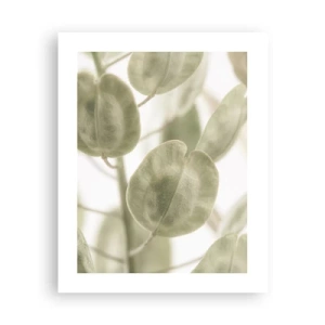 Plagát - Na začiatku bolo lístie… - 40x50 cm