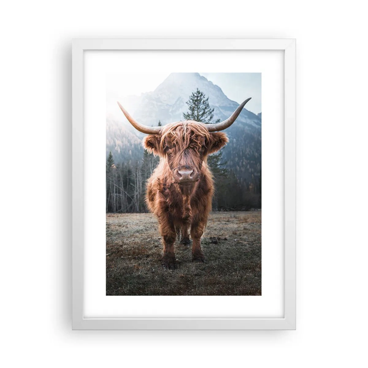 Plagát v bielom ráme - Pozdravy z horskej lúky - 30x40 cm