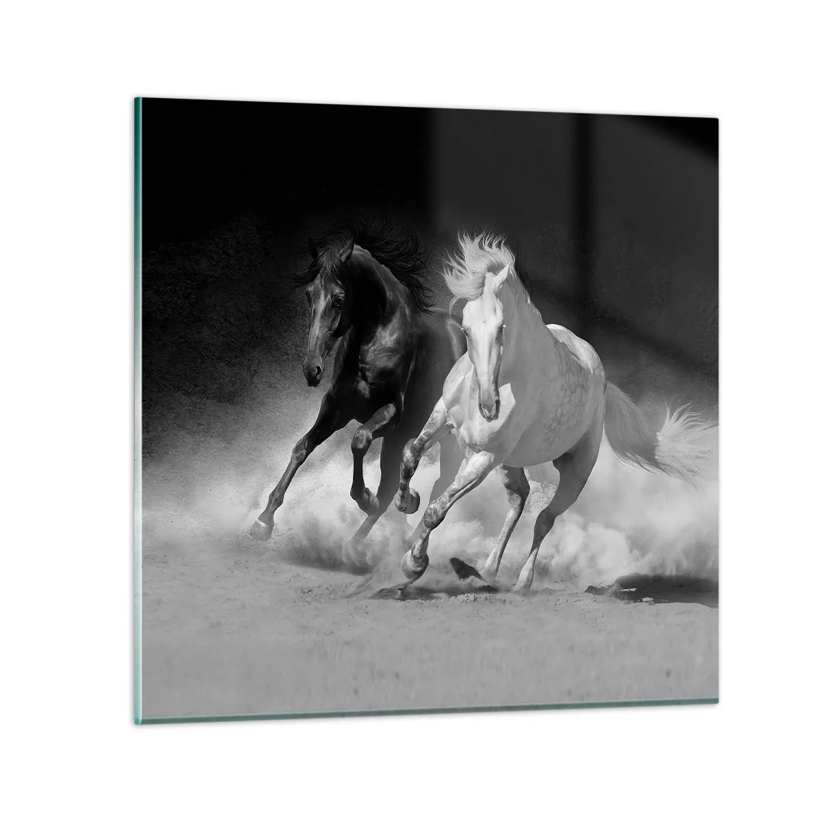 Obraz na skle - Cval slobody - 30x30 cm