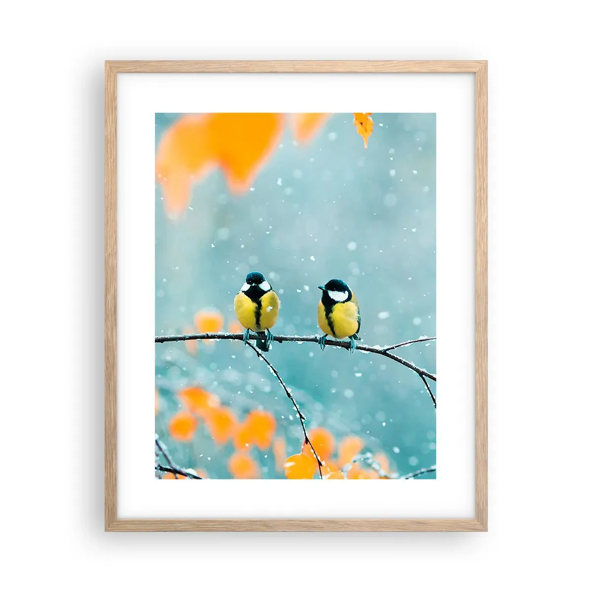 Plagát v ráme zo svetlého duba - Vtáčie klebety - 40x50 cm