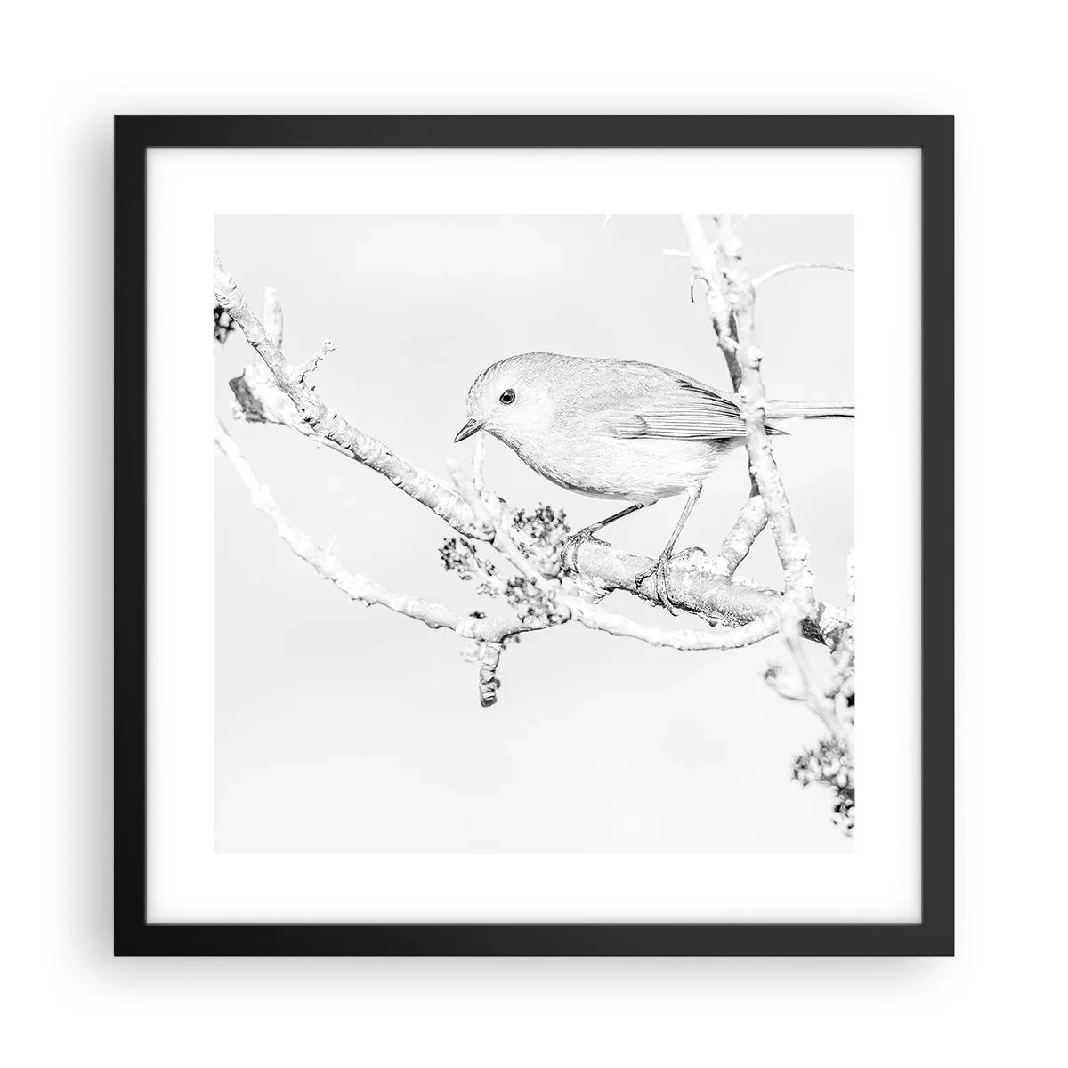 Plagát v čiernom ráme - Zimné ráno - 40x40 cm