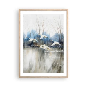 Plagát v ráme zo svetlého duba - Ako v poviedke o divokých labutiach - 50x70 cm