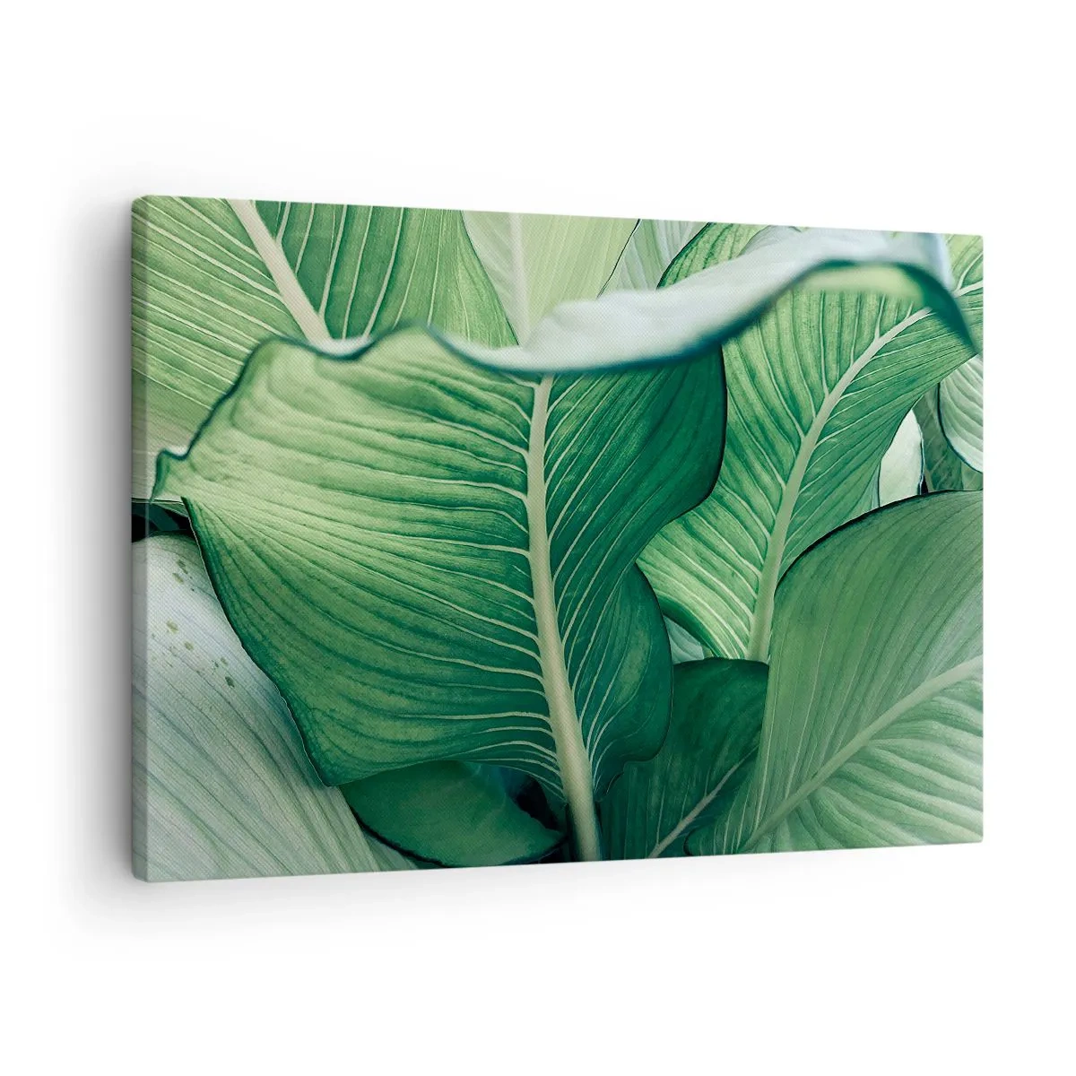 Obraz na plátne - Zelené listy s výraznými detailmi a štruktúrou - 70x50cm - Intenzívne zelený život - Moderná nástenná dekorácia do obývacej izby a spálne ARTTOR