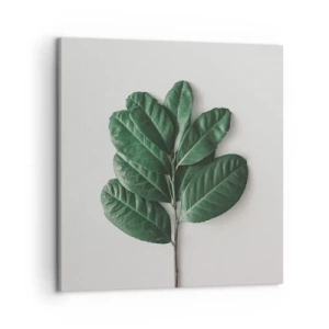 Obraz na plátne - Kresba samotnej prírody - 50x50 cm