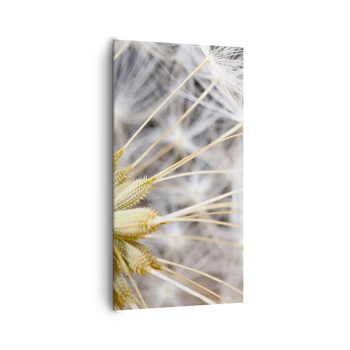 Obraz na plátne - Tesne pred odletom - 65x120 cm