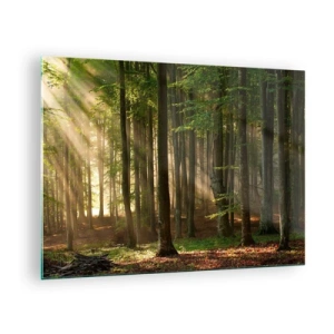 Obraz na skle - Slnečné lúče žiaria cez stromy v lese - 70x50cm - Rozžiarený v jarnom ráne - Moderná nástenná dekorácia do obývacej izby a spálne ARTTOR