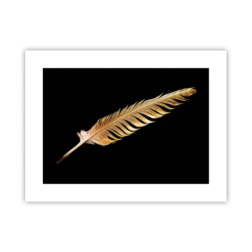 Plagát - Krásne pierko… - 40x30 cm