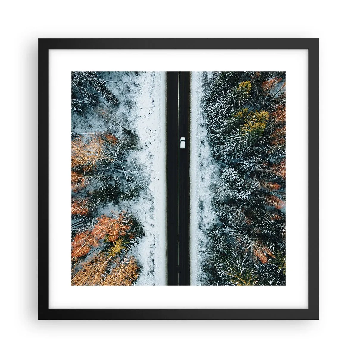 Plagát v čiernom ráme - Cez zimný les - 40x40 cm