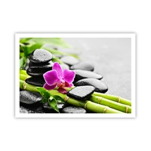 Plagát - V pokojnej rovnováhe - 100x70 cm