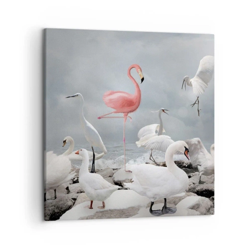 Obraz na plátne - Kde som sa tu vzal? - 50x50 cm