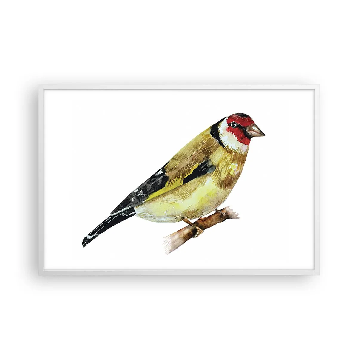 Plagát v bielom ráme - Vtáčí portrét - 91x61 cm