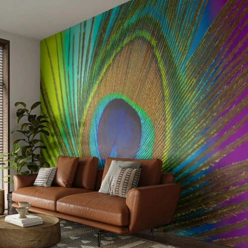 Fototapeta Standard Eco - Tvárou v tvár - Abstrakcia, Pávie pierko, Kus - 350x256 cm