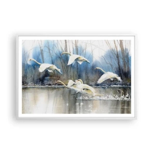 Plagát v bielom ráme - Ako v poviedke o divokých labutiach - 100x70 cm