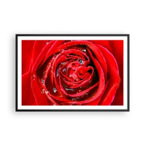 Plagát v čiernom ráme - V kvapkách rosy - 91x61 cm