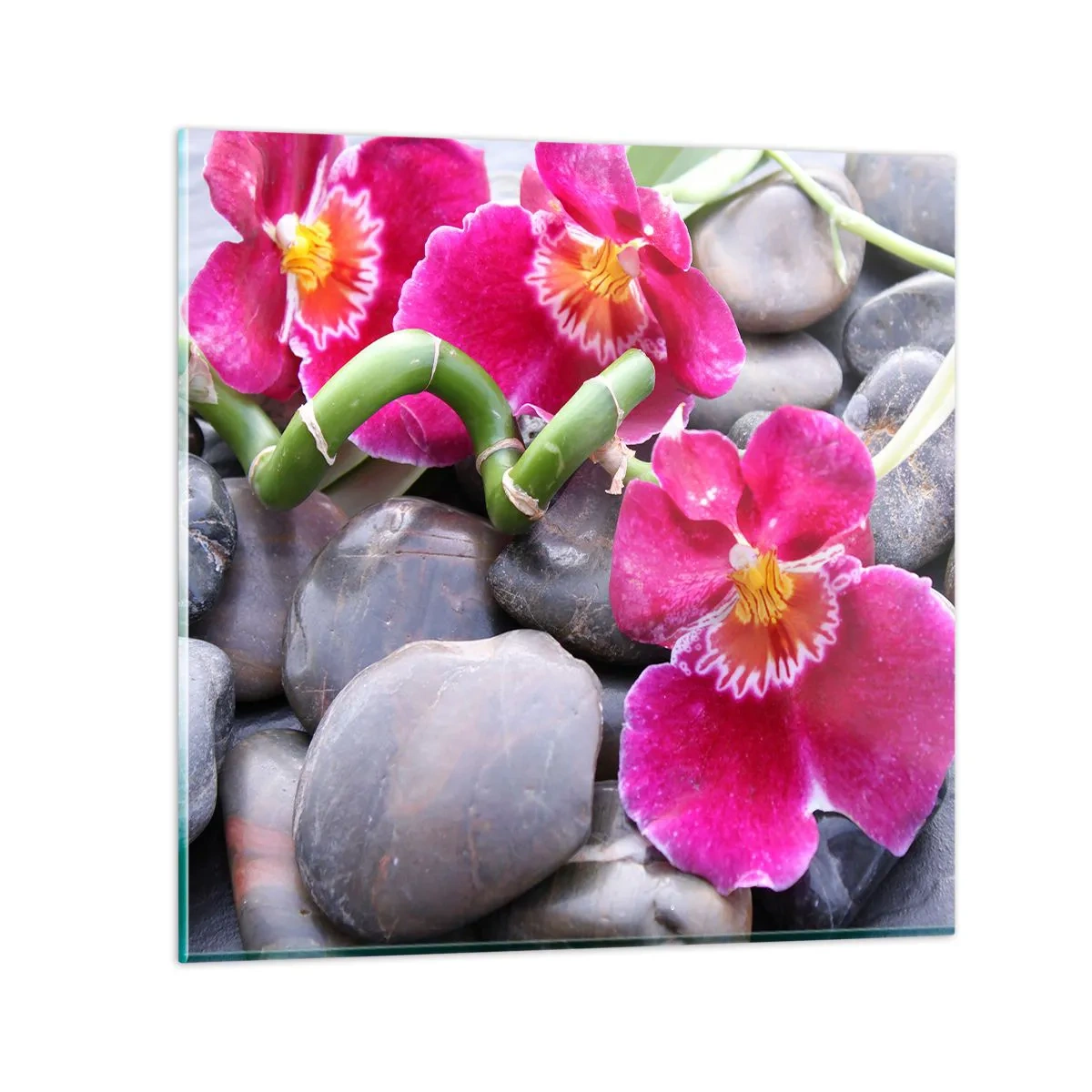 Obraz na skle - Chlad a žiara - 70x70 cm