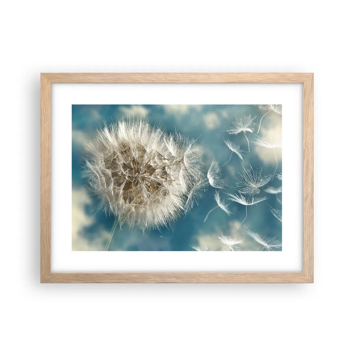 Plagát v ráme zo svetlého duba - Dych anjela - 40x30 cm